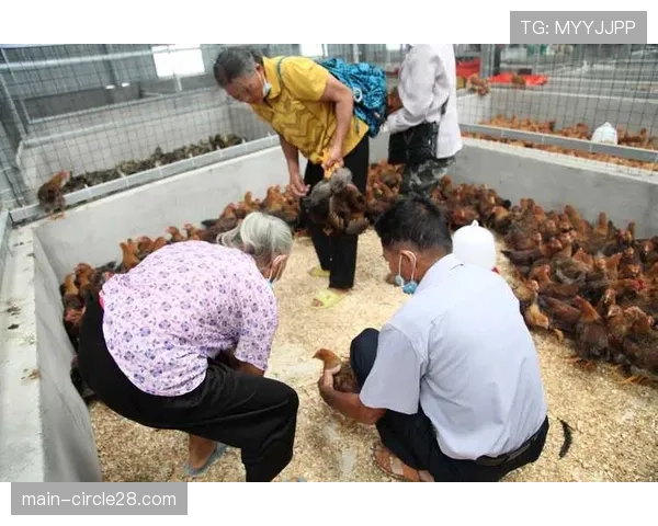 深度报道：二手举重器材市场的兴起与线上交易平台的规范